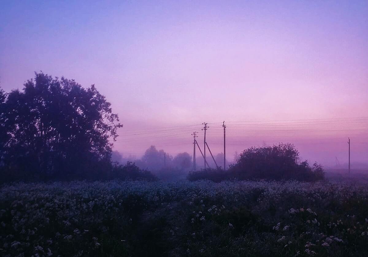 开云官网：奢华时尚的数字化殿堂